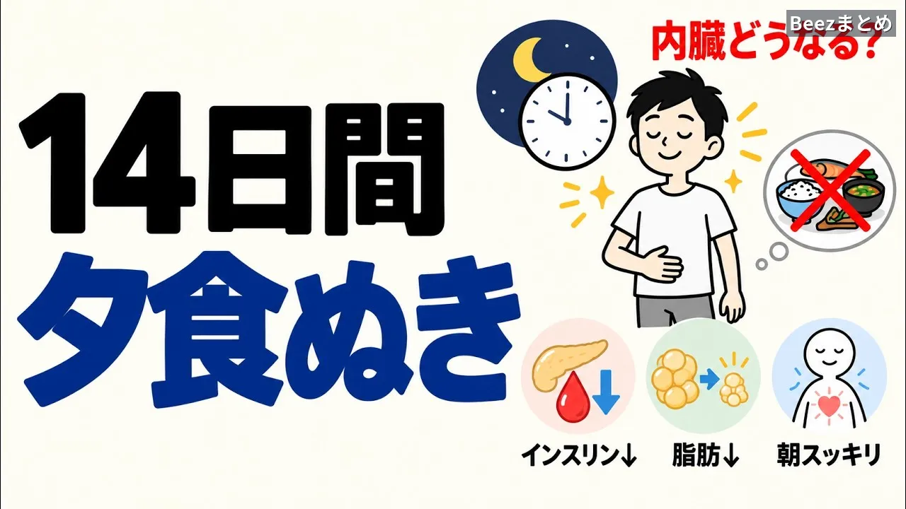夕食を抜いた夜、体は静かに燃料を切り替える