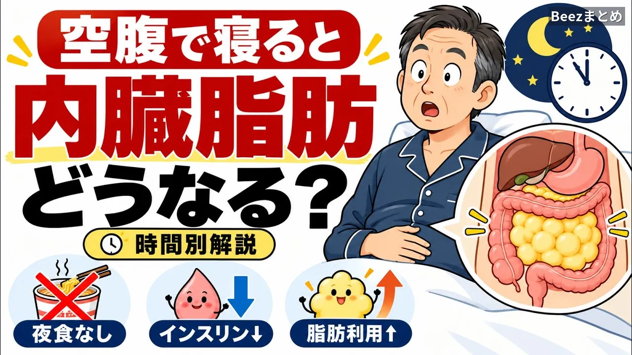 空腹のまま寝ると内臓脂肪に起こること｜夜7時から朝7時までの代謝と、眠れない夜の対処