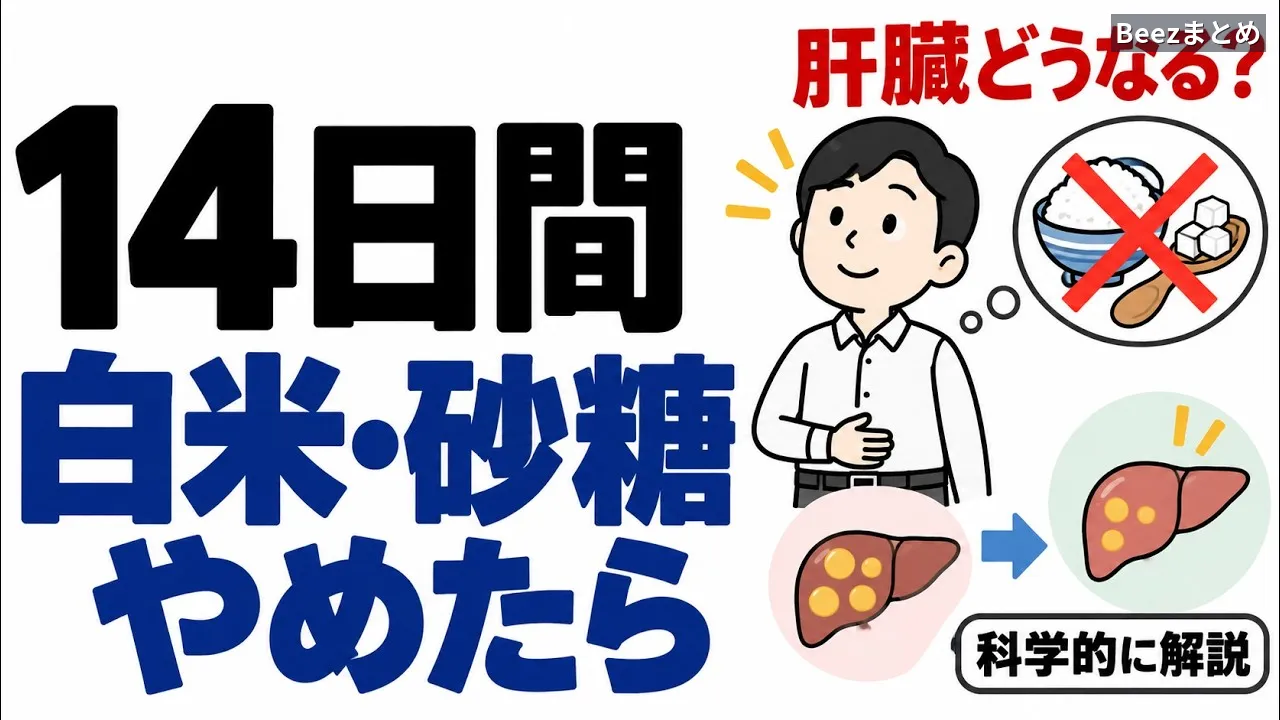 白米と砂糖を14日間やめると肝臓はどう変わる？最初に減るのは脂肪ではない理由