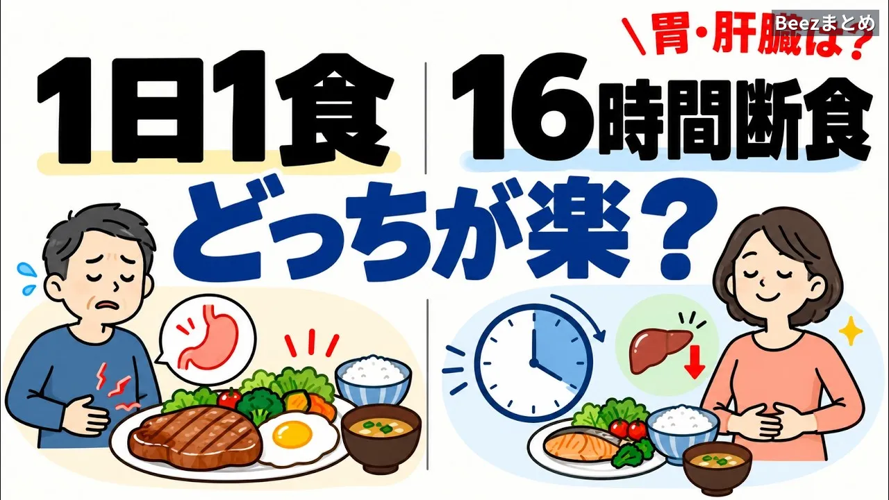 1日1食と16時間断食、40代・50代の内臓にやさしいのは？胃・血糖・肝臓から考える