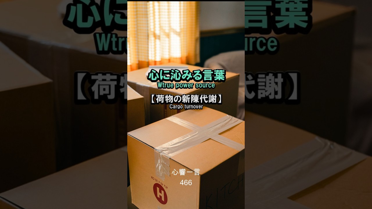 【名言】荷物の新陳代謝——過去の正しさを手放し、新しい自分を生きるスペースを作る