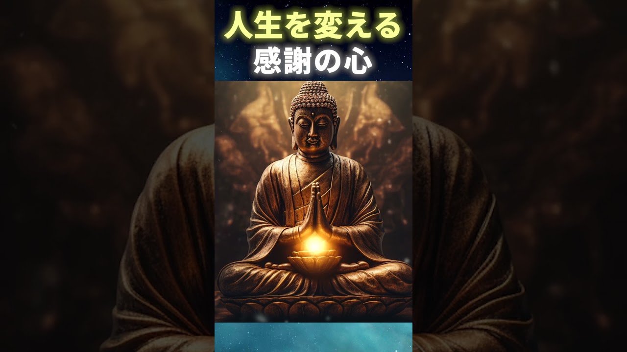 「足りないもの」ばかりが目に付くとき。心を整える「感謝」の視点について