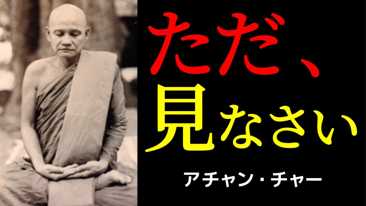 職場の人間関係で苦しみが消えない理由と、今日からできる観察の練習