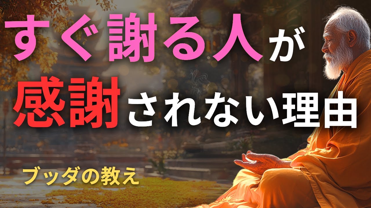 「すみません」が逆効果に？過剰な謝罪を手放し、信頼を築くための仏教的視点