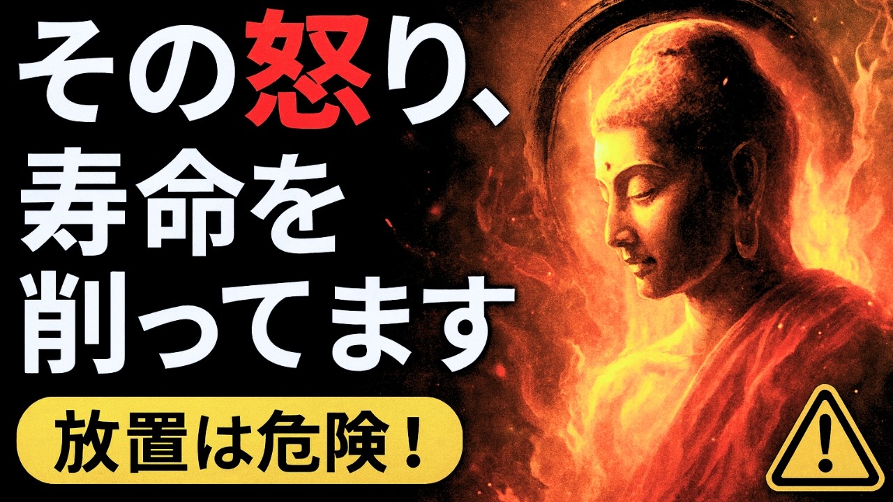 怒りに振り回されない心を作る。仏教の知恵と脳科学で読み解く「心の毒」の処方箋