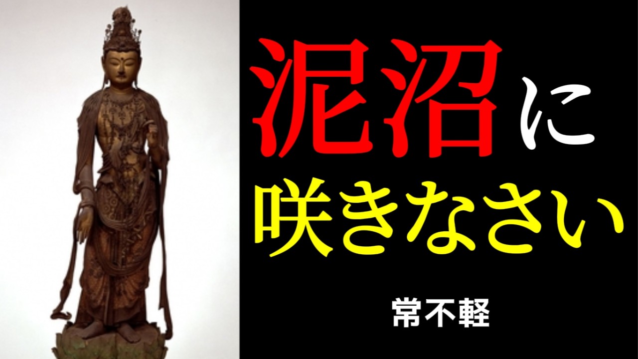 自分を責め続ける人へ。泥沼で咲くための4つの作法と、今日できる距離の取り方