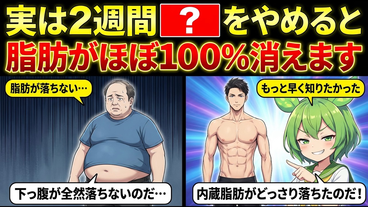 お腹の脂肪が最後まで残る理由｜頑張るほど空回りするダイエットの順番