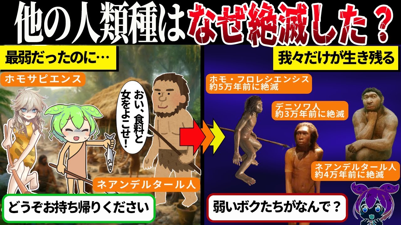 弱い人類が生き残った理由──力ではない「分け合う仕組み」から学ぶ暮らしの余白