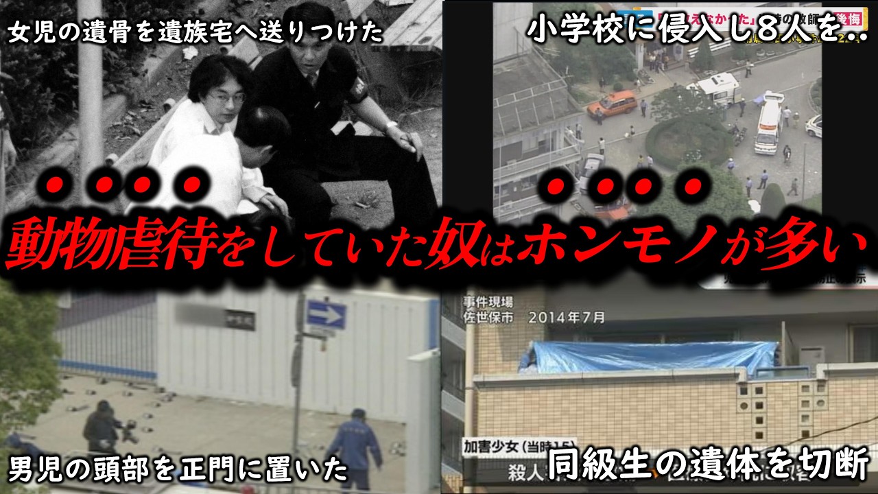 なぜ動物虐待をする人は警戒されるのか？ 小動物への暴力が示すものと現実的な対応