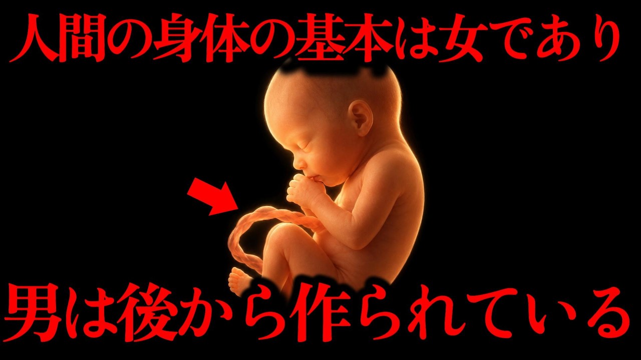 「最初はみんな女の子」はどこまで本当？性別が決まる複雑な仕組み
