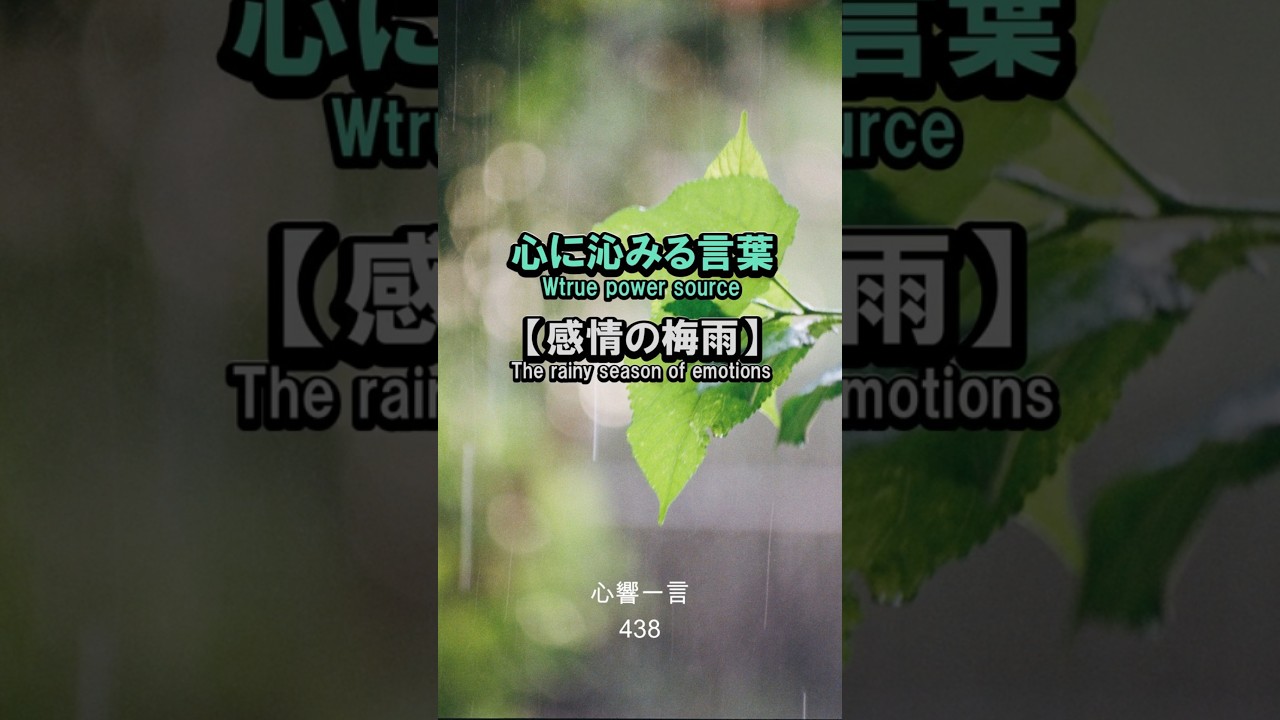 【名言】イライラも焦りも雨雲のように——心に響く一言
