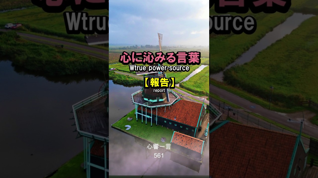 【名言】「あの時のアドバイスのおかげです」——心に響く一言