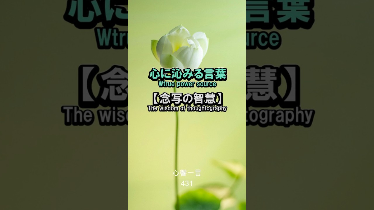 【名言】心の震えを写す——ファインダー越しの奇跡
