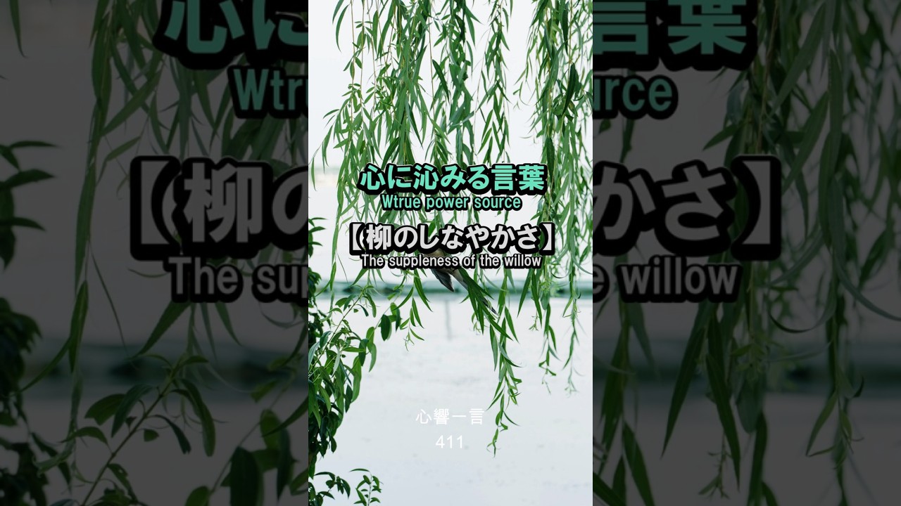 【名言】柳のしなやかさ——強い風に折れぬ心の持ち方