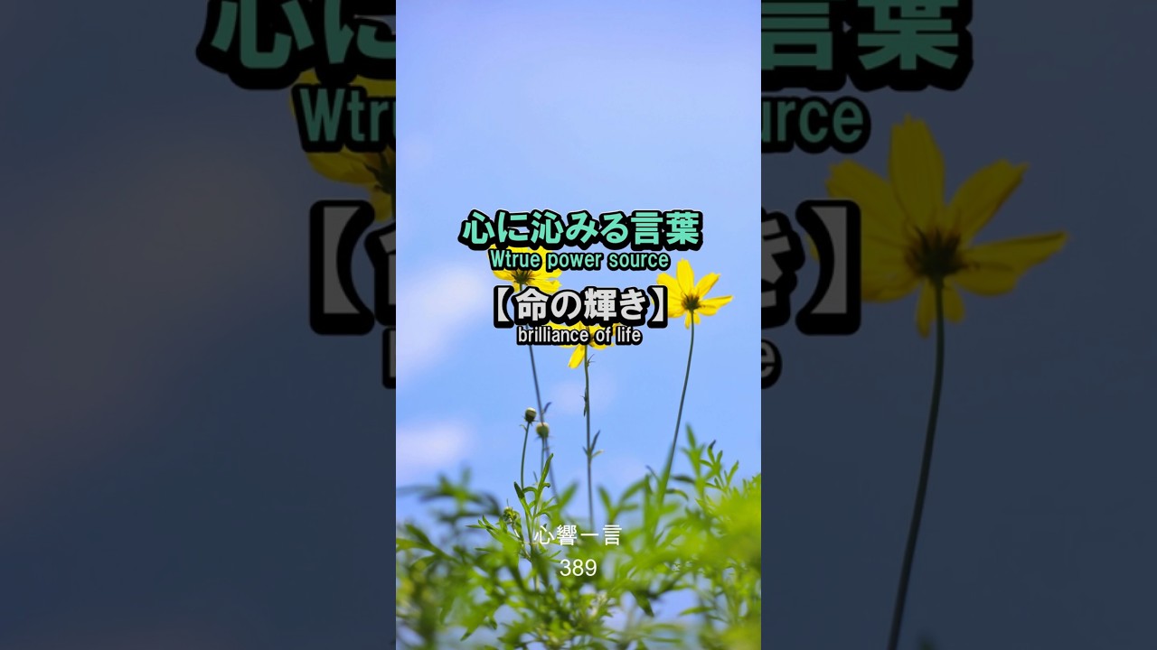 【名言】今を丁寧に愛しむ——心に響く一言