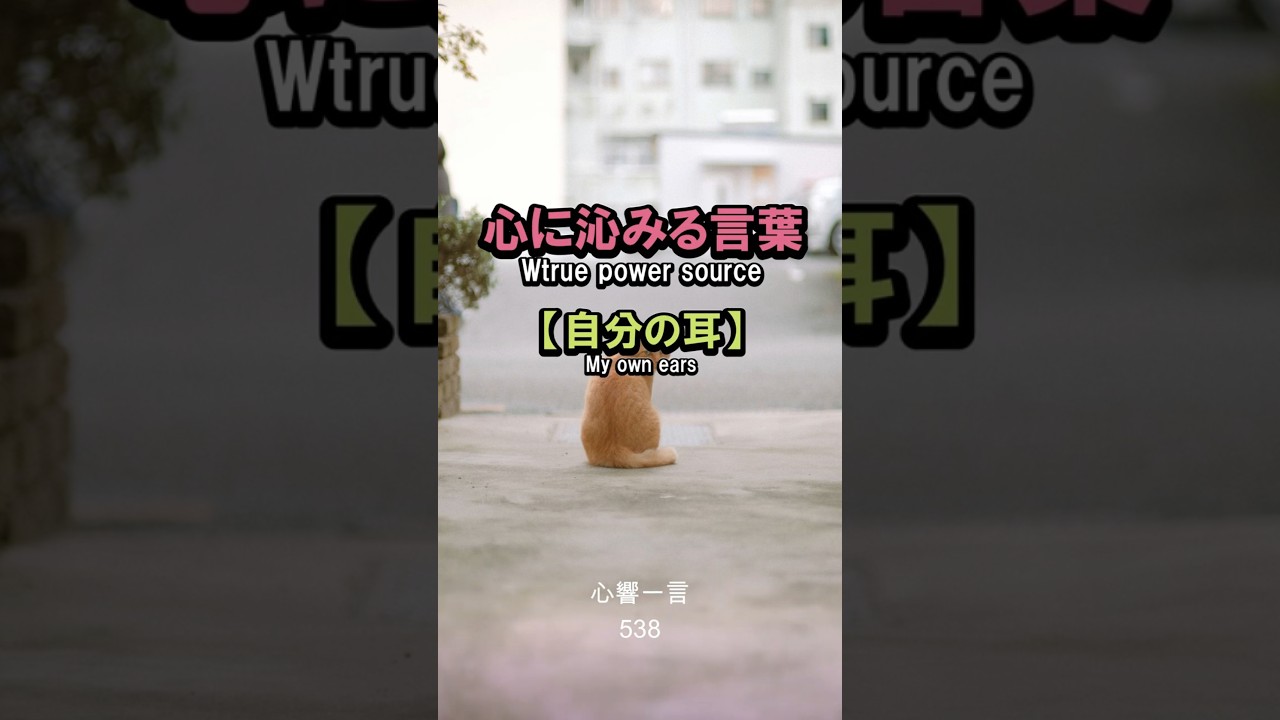【名言】自分が発した言葉は自分の耳が一番近くで聞いている——心に響く一言