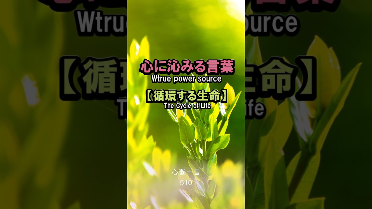 【名言】受け取った恩は次の誰かへ——優しさのバトンが世界を温める一言