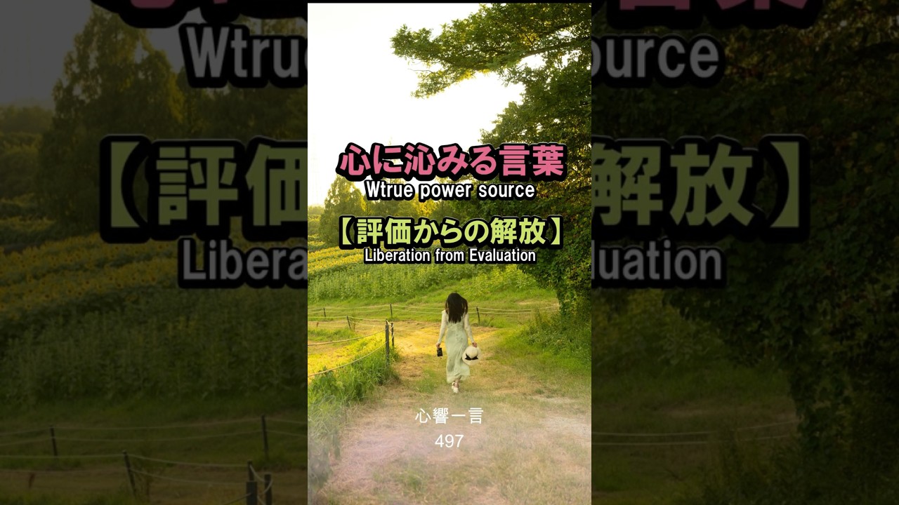 【名言】評価からの解放——心に響く一言