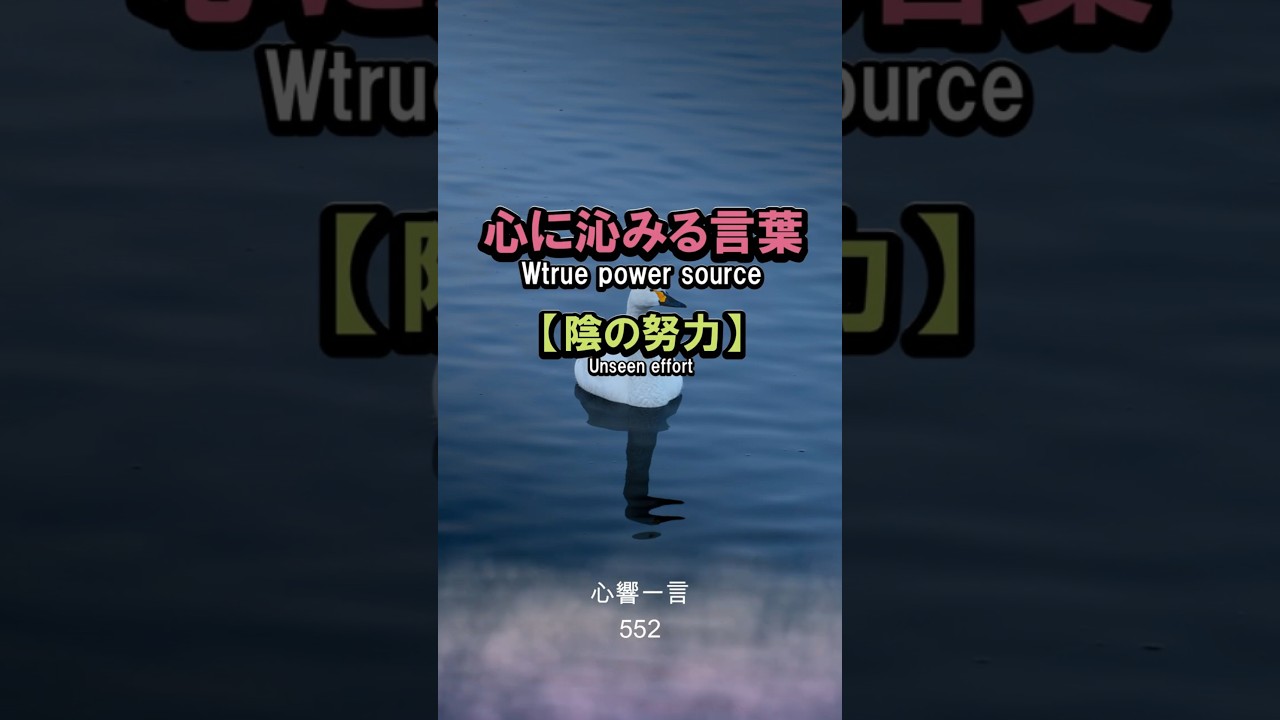【名言】水面下の努力——心に響く一言