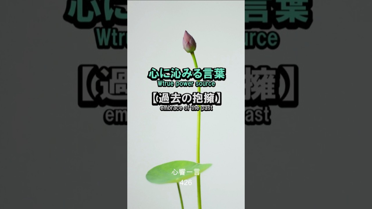 【名言】若き日の後悔も今のあなたを作る欠片——心に響く一言