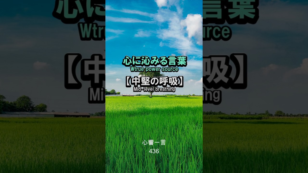 【名言】中堅の呼吸——心に響く一言