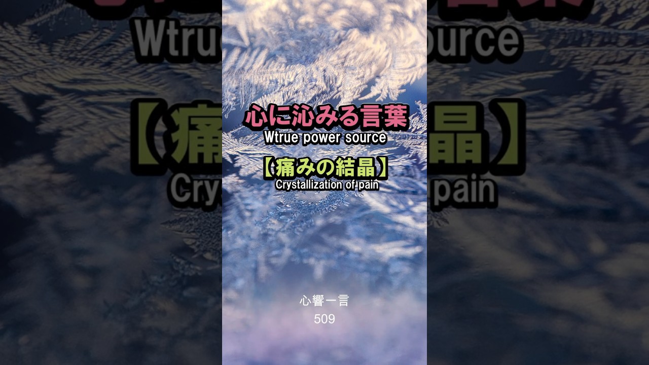 【名言】痛みの結晶——涙が育む他者への優しさ