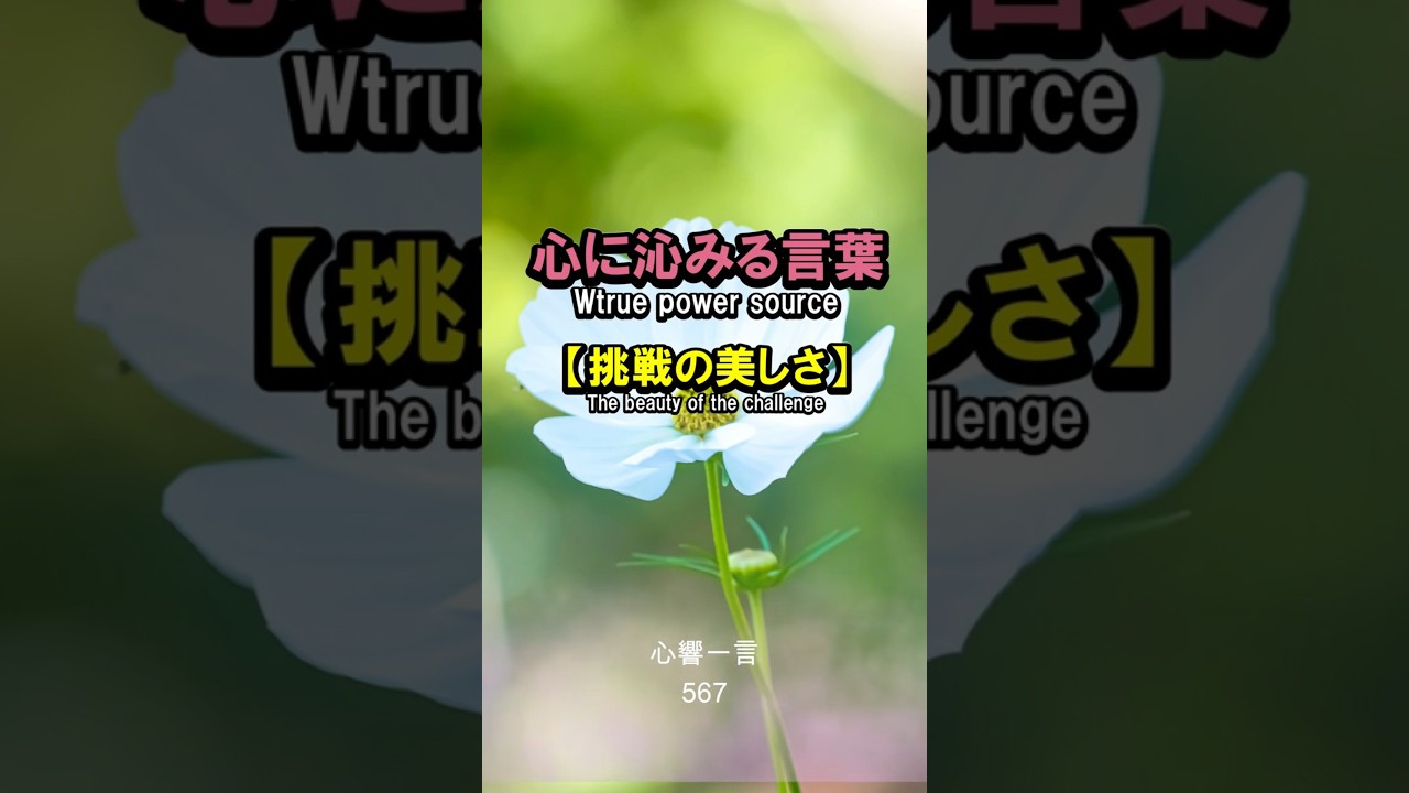 【名言】上手にやろうとしなくていい——心に響く一言