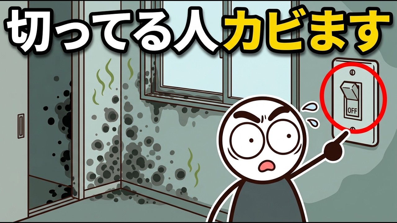 拭いてもカビが戻るのは掃除不足ではない。湿気と素材から断つ住まいの習慣
